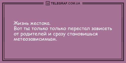 Разбавьте этот день яркими красками с лучшими анекдотами (ФОТО) Разбавьте этот день яркими красками с лучшими анекдотами (ФОТО)