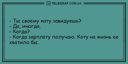Свежо и смешно: подборка забавных анекдотов на утро (ФОТО) Свежо и смешно: подборка забавных анекдотов на утро (ФОТО)