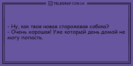 Свежо и смешно: подборка забавных анекдотов на утро (ФОТО) Свежо и смешно: подборка забавных анекдотов на утро (ФОТО)