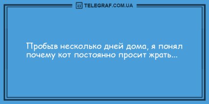 Минутка юмора для хорошего настроения: анекдоты на день (ФОТО) Минутка юмора для хорошего настроения: анекдоты на день (ФОТО)