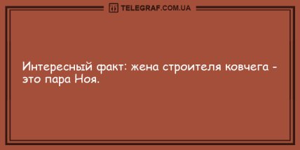 Антидот от грусти: уморительная порция утренних анекдотов (ФОТО) Антидот от грусти: уморительная порция утренних анекдотов (ФОТО)