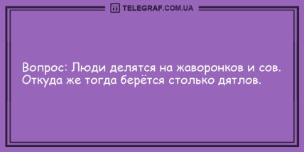 Самое время улыбнуться: анекдоты для поднятия настроения (ФОТО) Самое время улыбнуться: анекдоты для поднятия настроения (ФОТО)