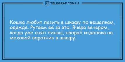 Сохраняйте позитив: подборка забавных анекдотов на вечер (ФОТО) Сохраняйте позитив: подборка забавных анекдотов на вечер (ФОТО)