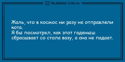Сделай паузу и подними себе настроение: подборка веселых анекдотов (ФОТО) Сделай паузу и подними себе настроение: подборка веселых анекдотов (ФОТО)