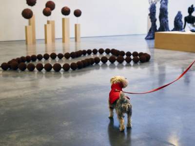 В Нью-Йорке открылась необычная галерея для собак. Фото