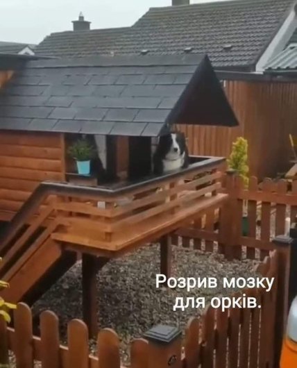 Страны-соседи россии начали встраивать стиральные машины в стены: смешная подборка шуток про россиян (ФОТО) Страны-соседи россии начали встраивать стиральные машины в стены: смешная подборка шуток про россиян (ФОТО)