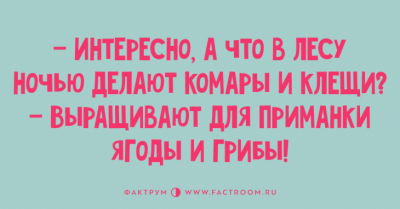 Утреннее веселье: свежая подборка забавных анекдотов