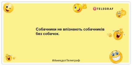 Анекдоти про тварин — Собачники не впізнають собачників без собачок.