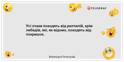 Анекдоти про тварин — Усі птахи походять від рептилій, крім лебедів, які, як відомо, походять від покришок.
