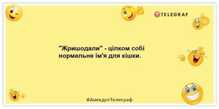 Анекдоти про тварин — "Жришодали" - цілком собі нормальне ім'я для кішки.