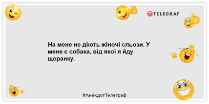 Анекдоти про тварин — На мене не діють жіночі сльози. У мене є собака, від якого я йду щоранку.