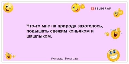 Анекдоты про шашлыки и пикники - Что-то мне на природу захотелось, подышать свежим коньяком и шашлыком.