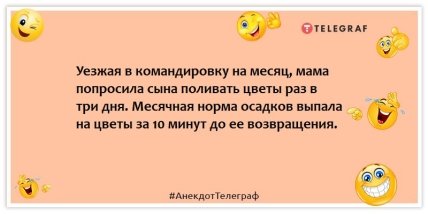 Анекдоты про женщин - Уезжая в командировку на месяц, мама попросила сына поливать цветы раз в три дня. Месячная норма осадков выпала на цветы за 10 минут до ее возвращения.
