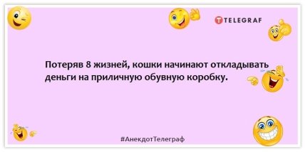 Анекдоты про котов - Потеряв 8 жизней кошки начинают откладывать деньги на приличную обувную коробку.