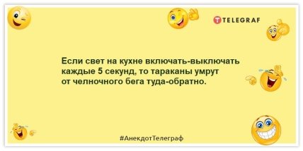 Анекдоты про тараканов - Если свет на кухне включать-выключать каждые 5 секунд, то тараканы умрут от челночного бега туда-обратно.