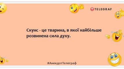 Самка богомола дуже здивувалася, зустрівши свого колишнього: смішні жарти про світ тварин
