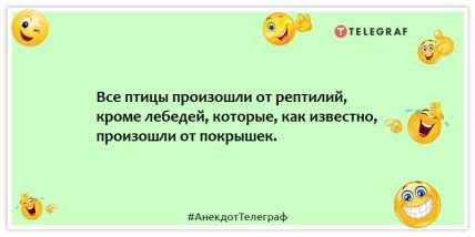 Анекдоты про животных - Все птицы произошли от рептилий, кроме лебедей, которые, как известно, произошли от покрышек.