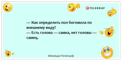 Анекдоты про животных - — Как определить пол богомола по внешнему виду? — Есть голова — самка, нет головы — самец.