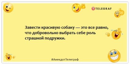 Анекдоты про животных - Завести красивую собаку — это все равно что добровольно выбрать себе роль страшной подружки.