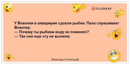 анекдоты о вовочке