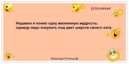 Сторож склада бижутерии живет очень бедно, но очень красиво: лучшие анекдоты (ФОТО) Сторож склада бижутерии живет очень бедно, но очень красиво: лучшие анекдоты (ФОТО)
