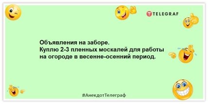 Анекдот