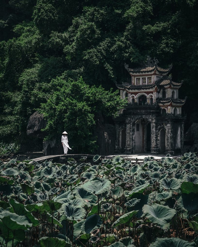Фотограф путешествует по Азии, запечатлевая красивые узоры повседневной жизни  (фото)