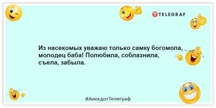 Анекдоты про женщин - Из насекомых уважаю только самку богомола, молодец баба! Полюбила, соблазнила, съела, забыла.