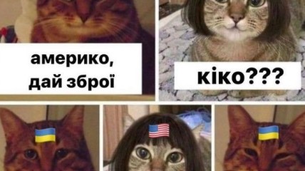Коли ворог доношує за тебе труси - це вже перемога!: Анекдоти на злобу дня