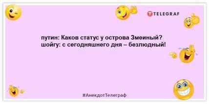 анекдоты про путина шойгу