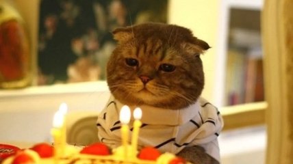 Тільки у свій день народження дізнаєшся, скільки непотрібних речей існує на світі: жарти, які розсмішать будь-кого