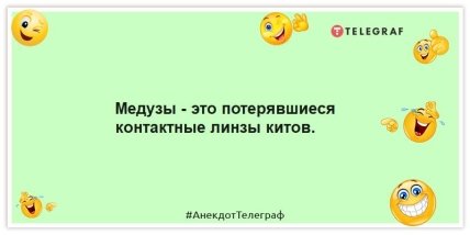 Анекдоты про животных - про