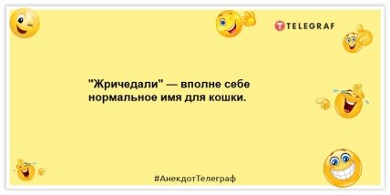 Анекдоты про животных -"Жричедали" — вполне себе нормальное имя для кошки.