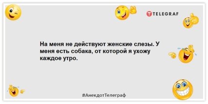 Анекдоты про животных -На меня не действуют женские слезы. У меня есть собака, от которой я ухожу каждое утро.