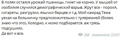 Мыши против россиян: в России быстро нашли замену \"боевым комарам\" - как отреагировала сеть (ФОТО) Мыши против россиян: в России быстро нашли замену \"боевым комарам\" - как отреагировала сеть (ФОТО)