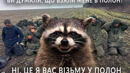 Українські єноти – тварини не прості