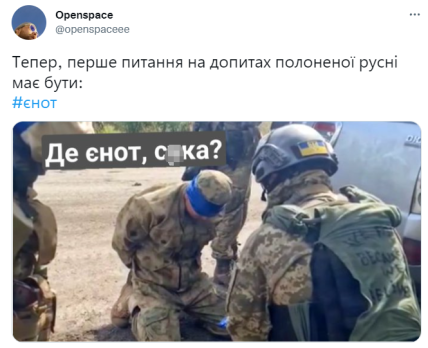 Херсон украли енота - мемы и шутки