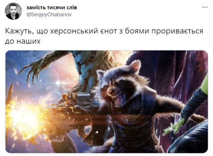 Зубков обещает вернуть в Херсон енота, но мемы уже не остановить