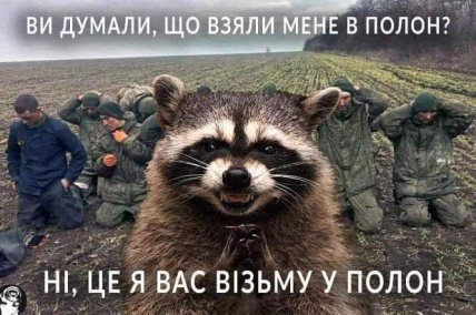 Енот украли Херсон мемы