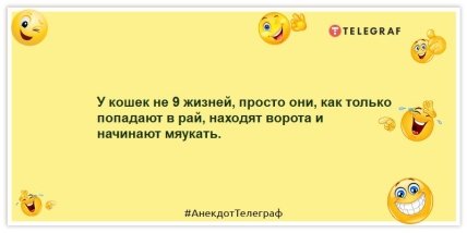 Анекдоты про котов и кошек - У кошек не 9 жизней, просто они, как только попадают в рай, находят ворота и начинают мяукать.
