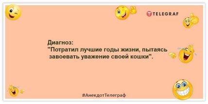 Анекдоты про котов и кошек - Диагноз: "Потратил лучшие годы жизни, пытаясь завоевать уважение своей кошки".
