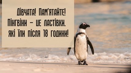 Колаж "Телеграфа"
