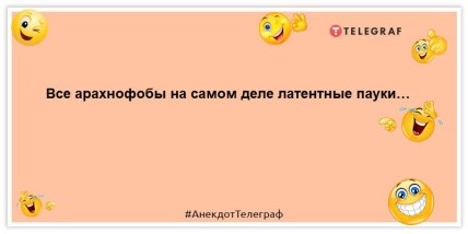 шутка про арахнофобов