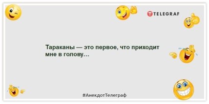 Анекдоты про тараканов - Тараканы — это первое, что приходит мне в голову…