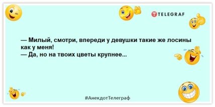 анекдот о жене и муже