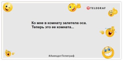 анекдот про насекомых