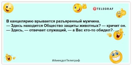 анекдот про животных