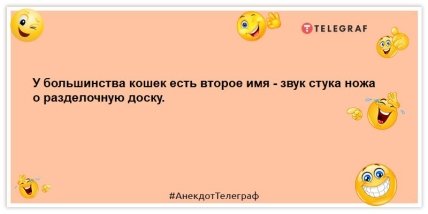 анекдот про кошек