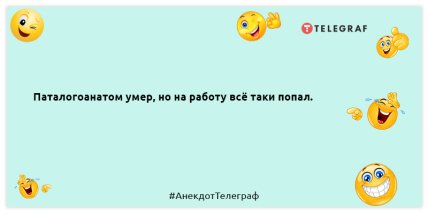Якщо вам у голову лізе всяка маячня, значить у неї там гніздо: смішні анекдоти для вашого настрою (ФОТО) Якщо вам у голову лізе всяка маячня, значить у неї там гніздо: смішні анекдоти для вашого настрою (ФОТО)