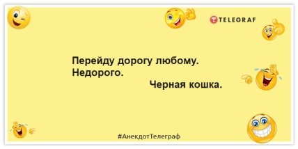 Анекдот про чорну кішку